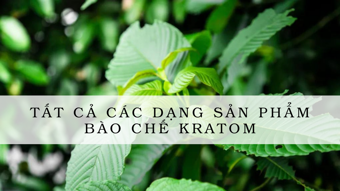 Tất cả các dạng sản phẩm bào chế Kratom