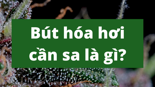 Bút hóa hơi cần sa là gì?