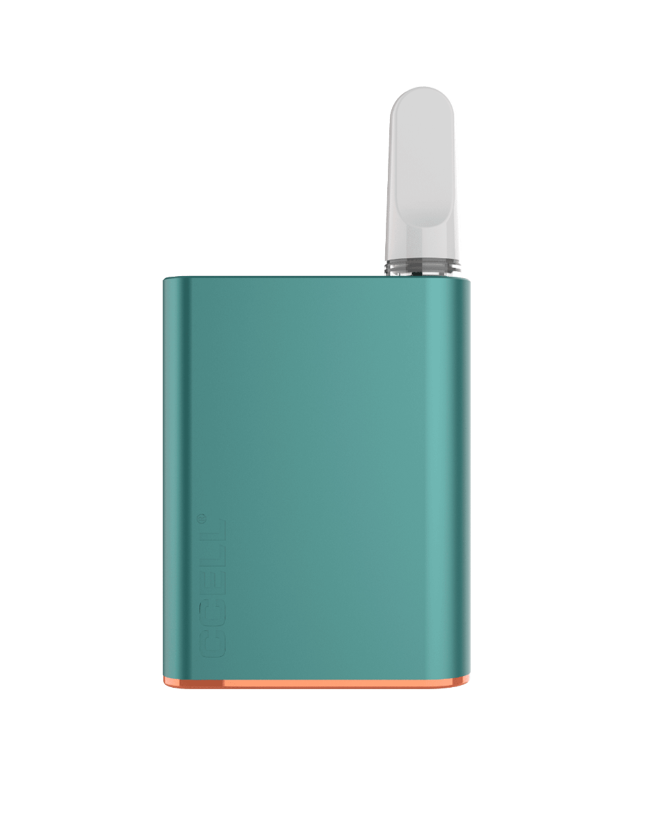 Palm - Hộp 100 chiếc