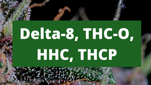 Các cannabinoid khác: Delta-8, THC-O, HHC, THCP